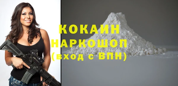 твердый Кулебаки