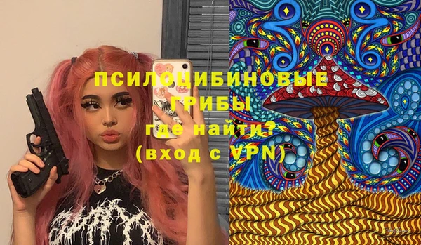 герыч Козельск
