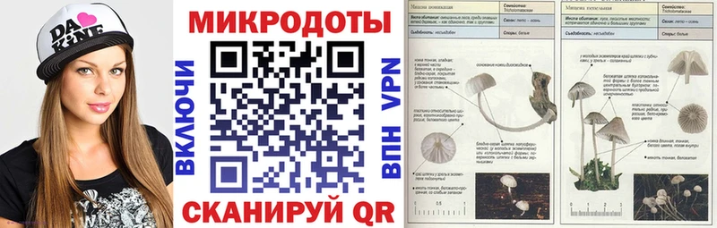 blacksprut ссылки  Куртамыш  Галлюциногенные грибы мицелий  наркошоп 